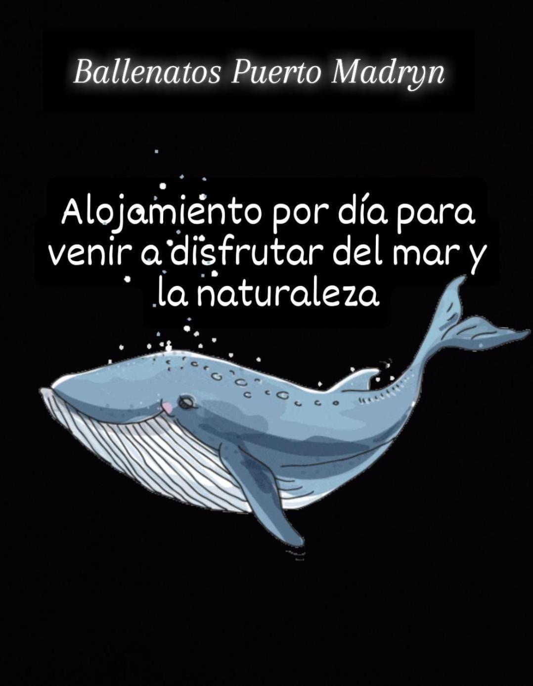 Ballenatos Madryn Puerto Madryn Exterior foto